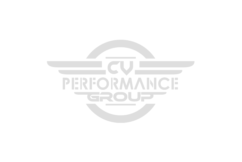 CV Performance Group